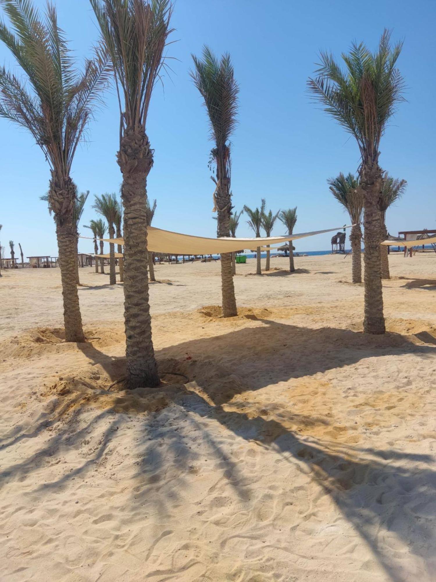 Hotel D-Bay North Coast Zawiyat 'abd al Mun'im Exterior foto